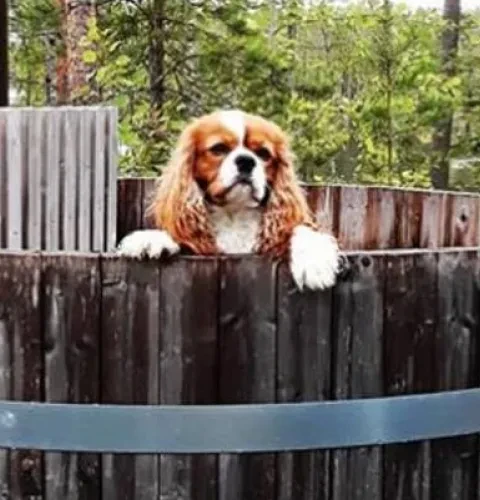 Recycle uw gebruikte hottub op de juiste wijze |Kirami